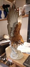 Großer ADLER beim Angriff