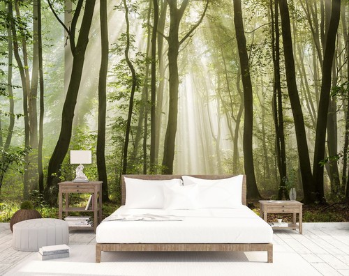 Wald bäume c5979 tapete - bäume,