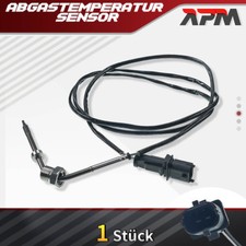 Abgastemperatursensor nach RPF