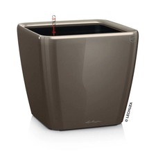 Lechuza 'Quadro LS 21' taupe