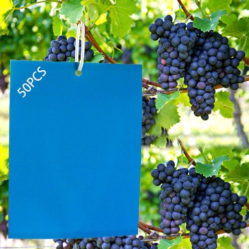 Blaue leimtafeln 15x20cm - 50,