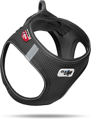 Vest harness ring - vest, buckle