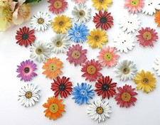 5x Knopf Blumen 25mm Margeriten Knöpfe Holz Damen Tracht Jacke 2 Loch Blüte bunt