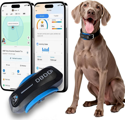 Gps tracker für hunde - ai,
