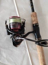 Spinrute , Rolle , Rutentasche , Kescher , Tasche mit Zubehör.