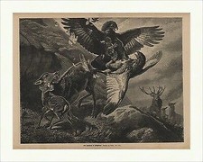 Ein Zweikampf im Hochgebirge