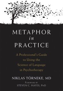Metaphor practice a - metaphor, in