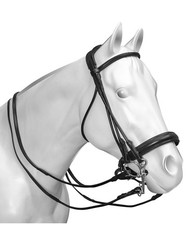Zaum Parnassus AC Horse mit