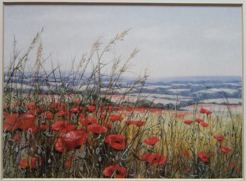 Mohnfeld landschaft druck - mohnfeld,