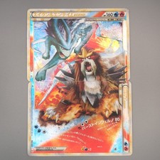 Pokemon Karte Suicune & Entei