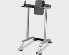 Profi rst beinhebe dips - bh,
