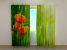 Fotogardine Mohnblumen im Feld, Vorhang mit Motiv, Digitaldruck, Gardine auf Maß