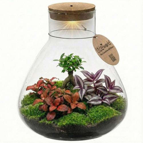 Mini terrarium zum - mini-terrarium, selberbauen