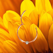 I Ohrring Clicker 10 mm I