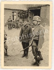 Foto POLEN - polnischer