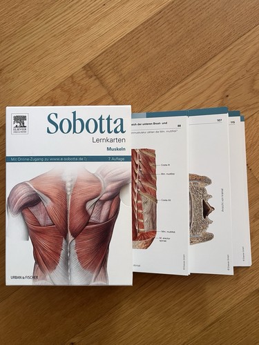 Sobotta lernkarten muskeln - sobotta,