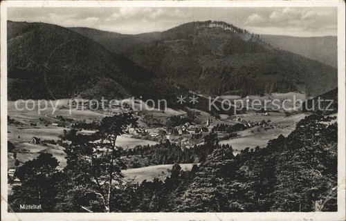 Mitteltal schwarzwald panorama - mitteltal,