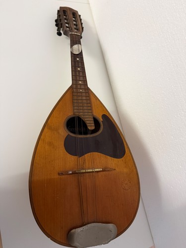 Herwiga solist mandoline - solist,