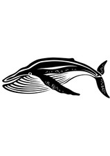 5x car sticker whale sticker