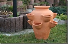 Pflanzkübel Kräutertopf