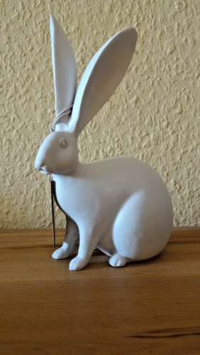 Hase osterhase - hase,