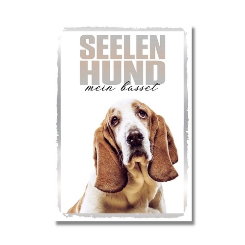 Basset hound seelenhund dog - hound,