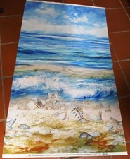 Muscheln Seestern Strand