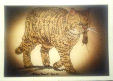 Originalzeichnung    Katz und Maus