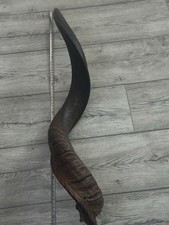 Kuduhorn Kudu Horn Antilope