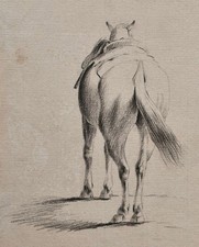 Pferd Tierstudie Miniatur