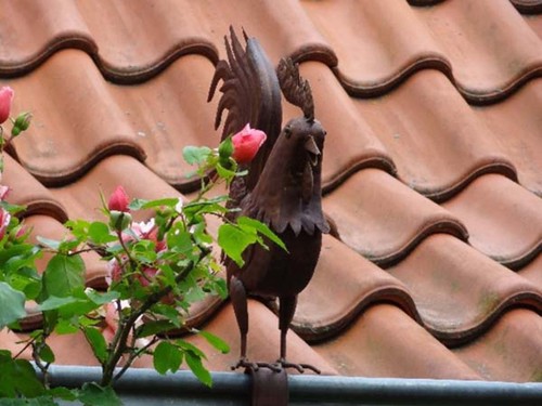Dachrinnen und zaun figur - dachrinnen, zaun-figur