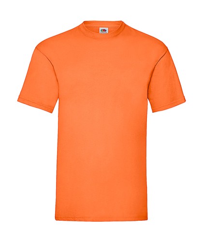 10er pack shirts fruit of - pack,