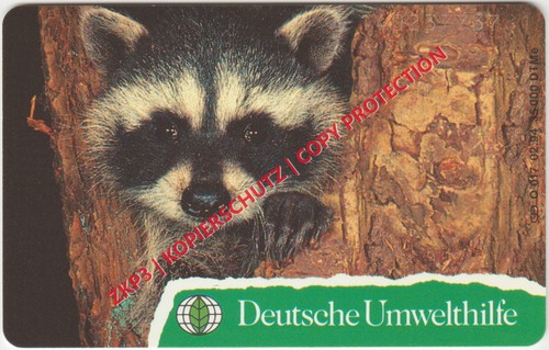 1994 017 waschbär - o,