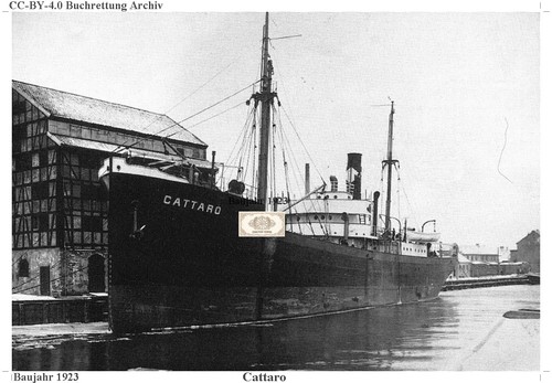 Digital link ehemals cattaro - link.,