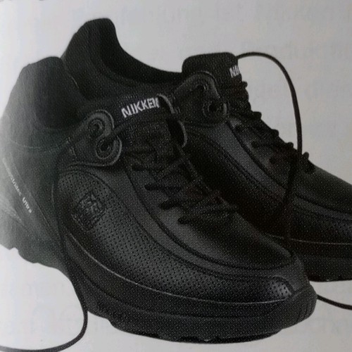 Nikken cardio strides - nikken,