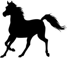 Aufkleber pferd - aufkleber,