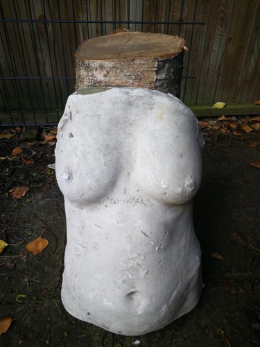 Weiblicher torso - weiblicher,