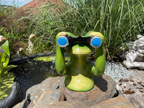 Frosch figur spanner - figur, teich