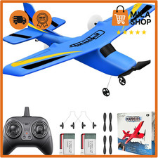 RC Segelflugzeug Cessna 2