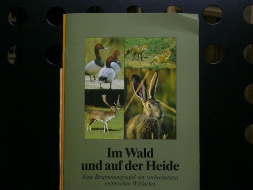 Wald und auf der - im, heide