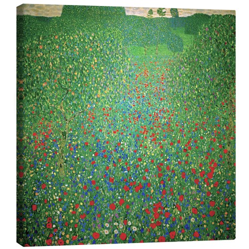 Leinwandbild mohnwiese - leinwandbild,