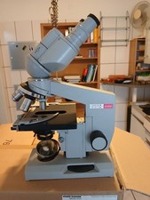 Mikroskop Binokular