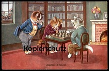 ALTE POSTKARTE JOUEURS D'ÉCHECS KATZEN SPIELEN SCHACH CATS PLAYING CHESS Katze c