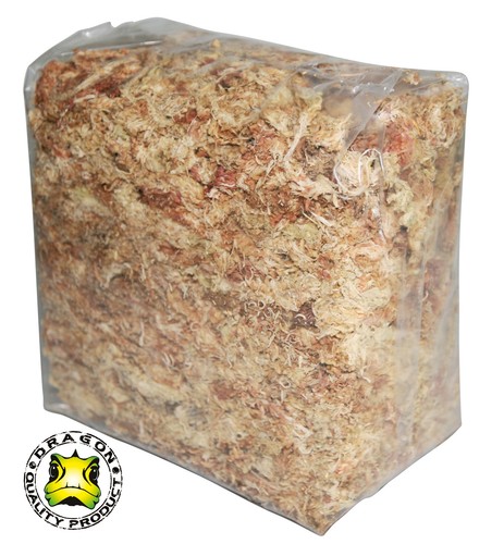 Dragon sphagnum moos - sphagnum,