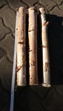 Birke  Deko Holz  ca 55 x 6cm