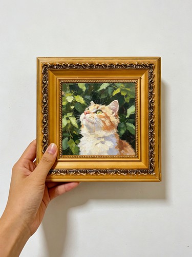 Orange tabby katze grünen - im,
