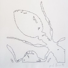 PETER KOGLER, Ameisen