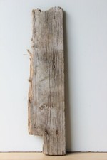 Treibholz Schwemmholz Driftwood 1 Brett Terrarium Dekoration Garten  Regal 224