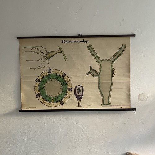 Schulwandkarte lehrkarte ddr - schulwandkarte,