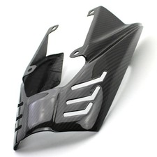 Carbon Heckverkleidung für Triumph Daytona 675 / R 2006-2012